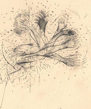Artwork Title: Untitled