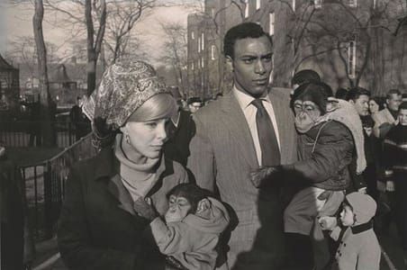 Artwork Title: Central Park Zoo, New York