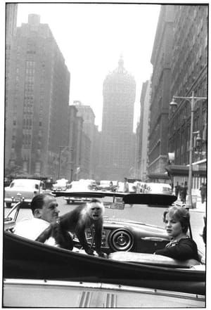 Artwork Title: Park Avenue, New York