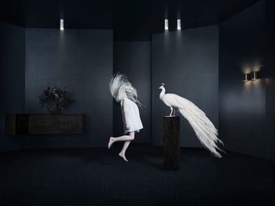 Artwork Title: Untitled