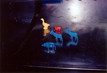Artwork Title: Untitled