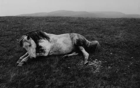Artwork Title: Wales