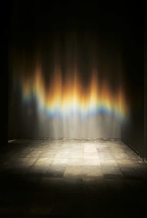 Artwork Title: Beauty