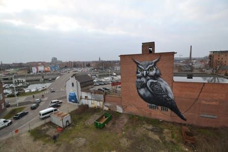 Artwork Title: Owl