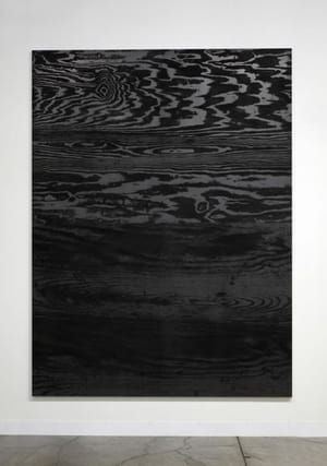 Artwork Title: Untitled - Graphite on aluminum panel