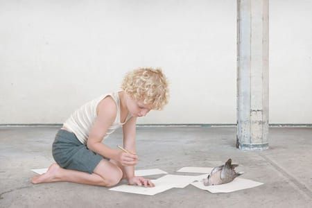 Artwork Title: The Dove