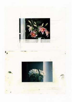 Artwork Title: Stilleben (Blumen)