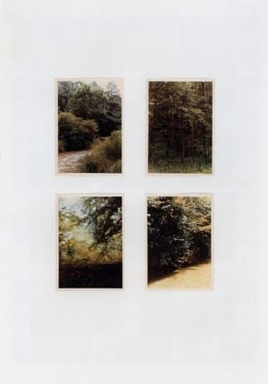Artwork Title: Wald (Forest)