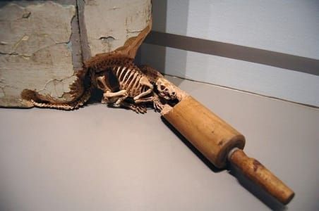 Artwork Title: Rat