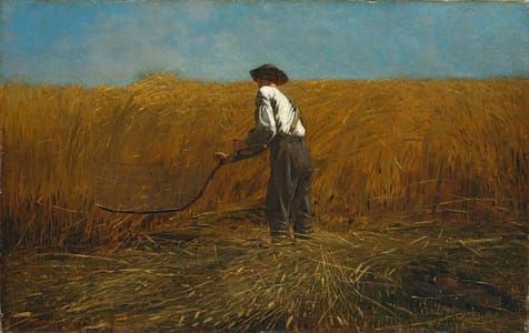 Artwork Title: Veteran In A Field