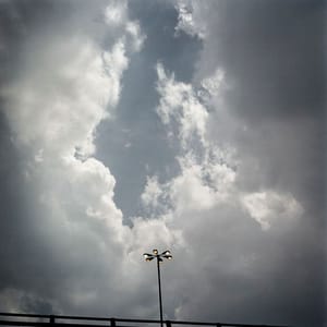 Artwork Title: Dog Days, Bogotá - Untitled 48