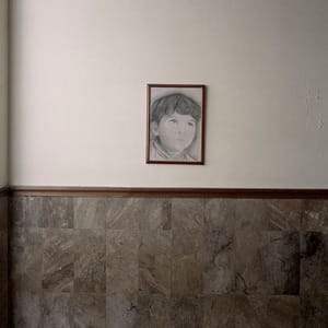 Artwork Title: Dog Days, Bogotá - Untitled 23