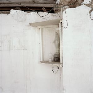 Artwork Title: Dog Days, Bogotá - Untitled 46