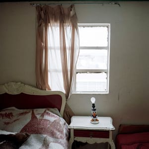 Artwork Title: Dog Days, Bogotá - Untitled 32