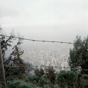 Artwork Title: Dog Days, Bogotá - Untitled 37