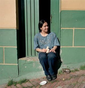 Artwork Title: Dog Days, Bogotá - Untitled 55