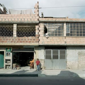 Artwork Title: Dog Days, Bogotá - Untitled 61