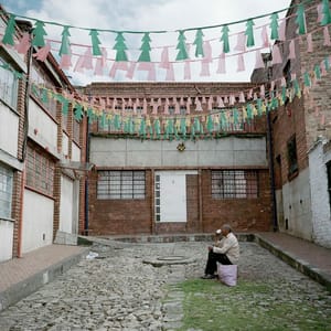 Artwork Title: Dog Days, Bogotá - Untitled 39