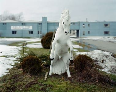 Artwork Title: Niagara - Impala