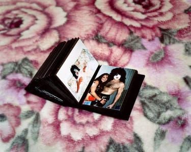 Artwork Title: Niagara - KISS Diary, Volume 3