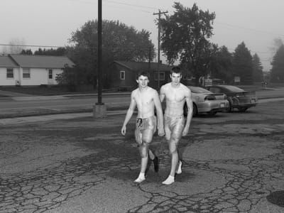 Artwork Title: Songbook - Cade and Cody. Au Gres, Michigan