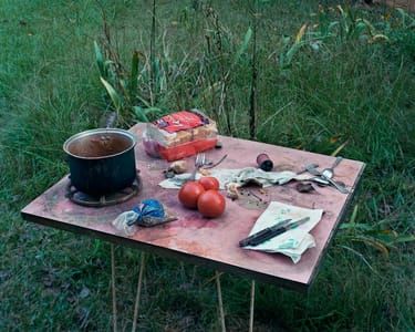 Artwork Title: Sidney's tomatoes