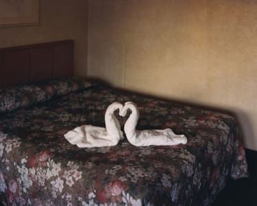 Artwork Title: Niagara - Two Towels