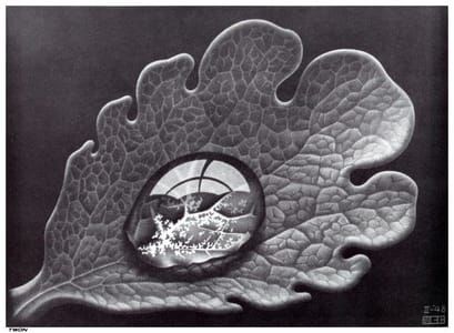 Artwork Title: Dew Drop