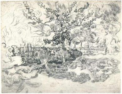 Artwork Title: Garden Of The Asylum