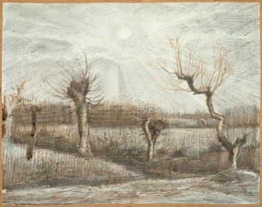 Artwork Title: Tetards (Pollards)