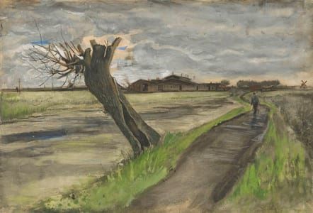 Artwork Title: Pollard Willow