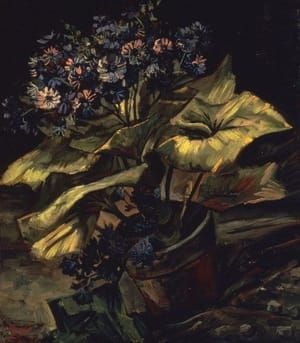 Artwork Title: Cineraria