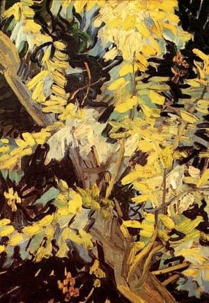 Artwork Title: Flowering Acacia