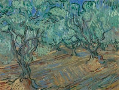 Artwork Title: Olive Grove Saint-Rémy-de-Provence, June 1889
