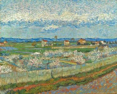 Artwork Title: Peach Trees in Blossom