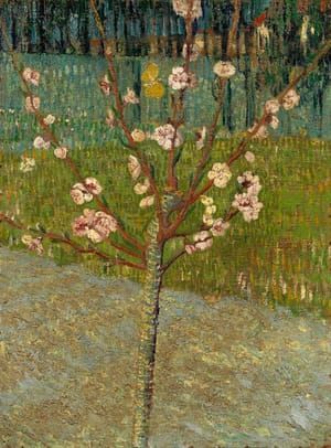 Artwork Title: Almond Tree in Blossom Arles, April 1888