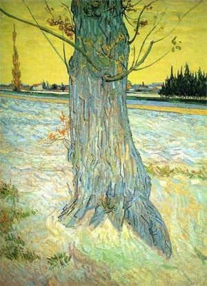Artwork Title: Trunk of an Old Yew Tree