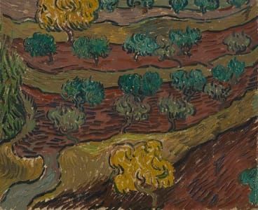 Artwork Title: Olive Trees on a Hillside