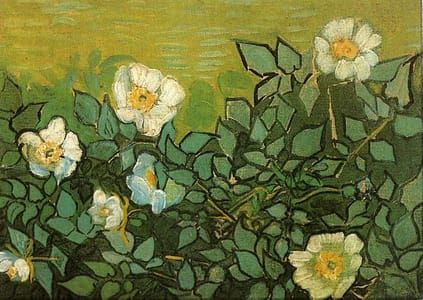 Artwork Title: Wild Roses