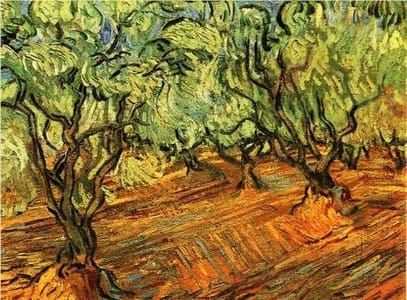 Artwork Title: Olive Grove Bright Blue Sky
