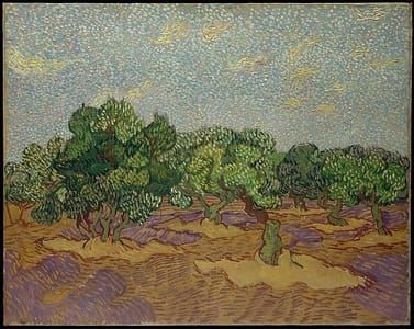 Artwork Title: Olive Trees