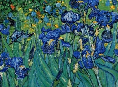 Artwork Title: Irises