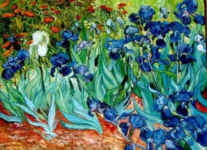 Artwork Title: Iris Garden