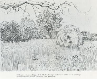 Artwork Title: Field Of Grass