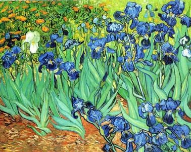 Artwork Title: Irises