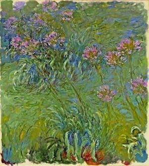 Artwork Title: Agapanthus