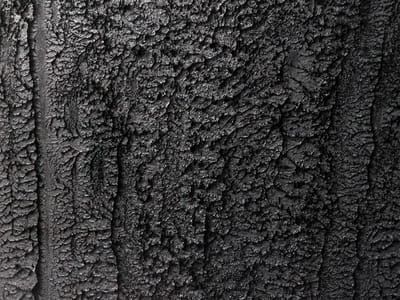 Artwork Title: Detail