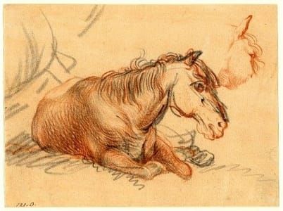 Artwork Title: Horse lying down