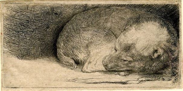 Artwork Title: Sleeping Puppy