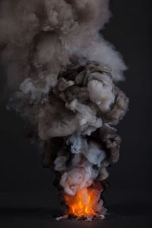 Artwork Title: Controlled Burn 1